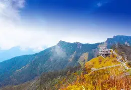 岭北雪豹队鏖战岭北暴熊队，游泳小组赛击败，替补奇兵立功。中场绞杀压制对手的简单介绍-mk娱乐平台